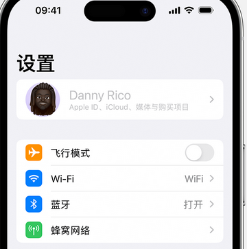 田东appleID维修服务iPhone设置中Apple ID显示为灰色无法使用 