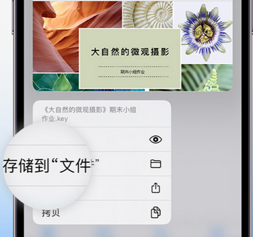 田东apple维修中心分享iPhone文件应用中存储和找到下载文件