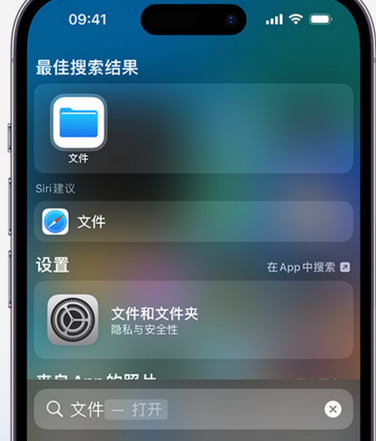 田东apple维修中心分享iPhone文件应用中存储和找到下载文件 