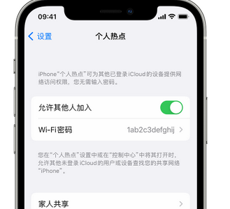 田东apple服务站点分享iPhone上个人热点丢失了怎么办