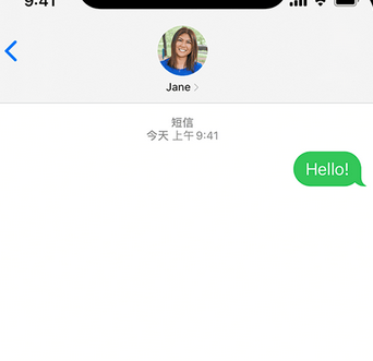 田东apple维修iPhone上无法正常发送iMessage信息