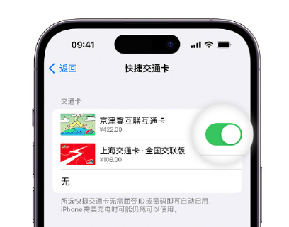 田东apple维修点分享iPhone上更换Apple Pay快捷交通卡手绘卡面 