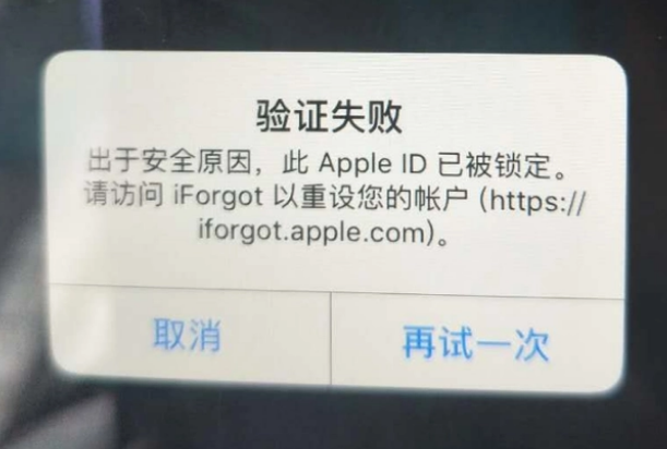 田东iPhone维修分享iPhone上正常登录或使用AppleID怎么办 