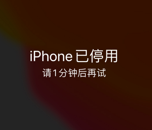 田东苹果手机维修分享:iPhone 显示“不可用”或“已停用”怎么办？还能保留数据吗？ 