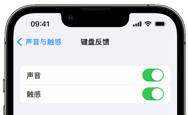 田东苹果手机维修分享iPhone 14触感键盘使用方法 