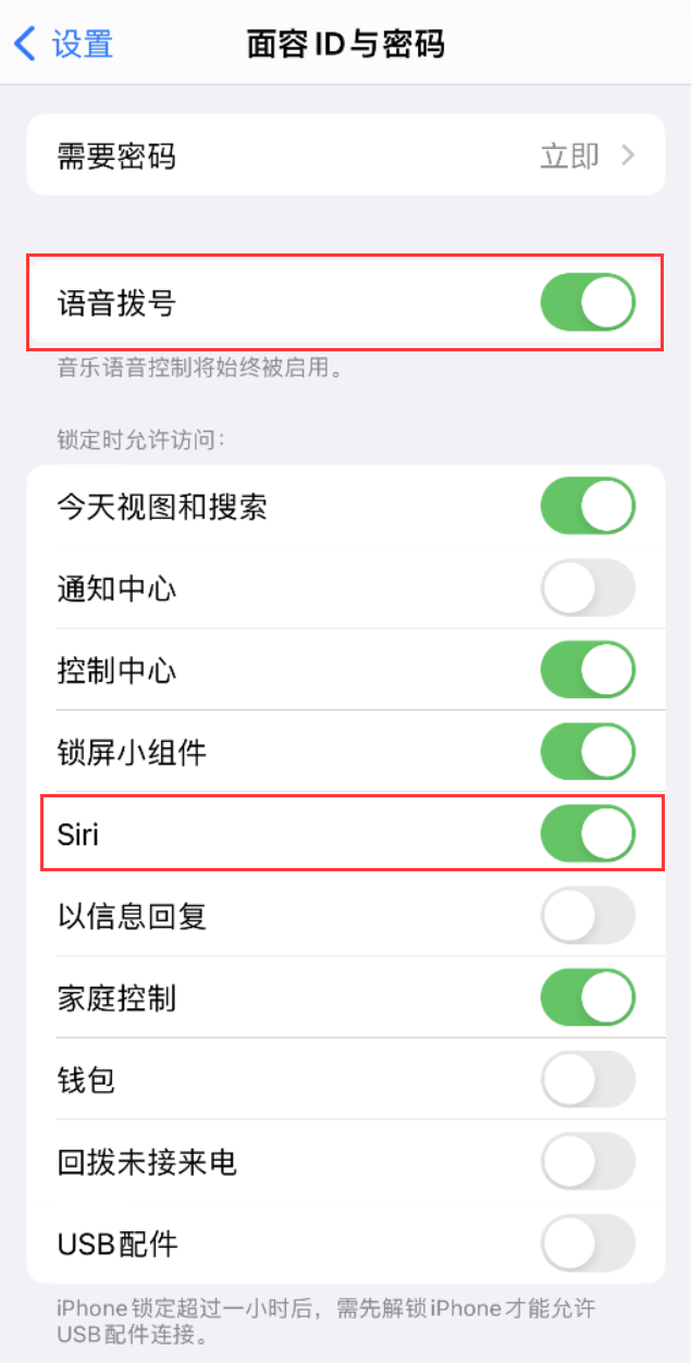 田东苹果维修网点分享不解锁 iPhone 的情况下通过 Siri 拨打电话的方法 