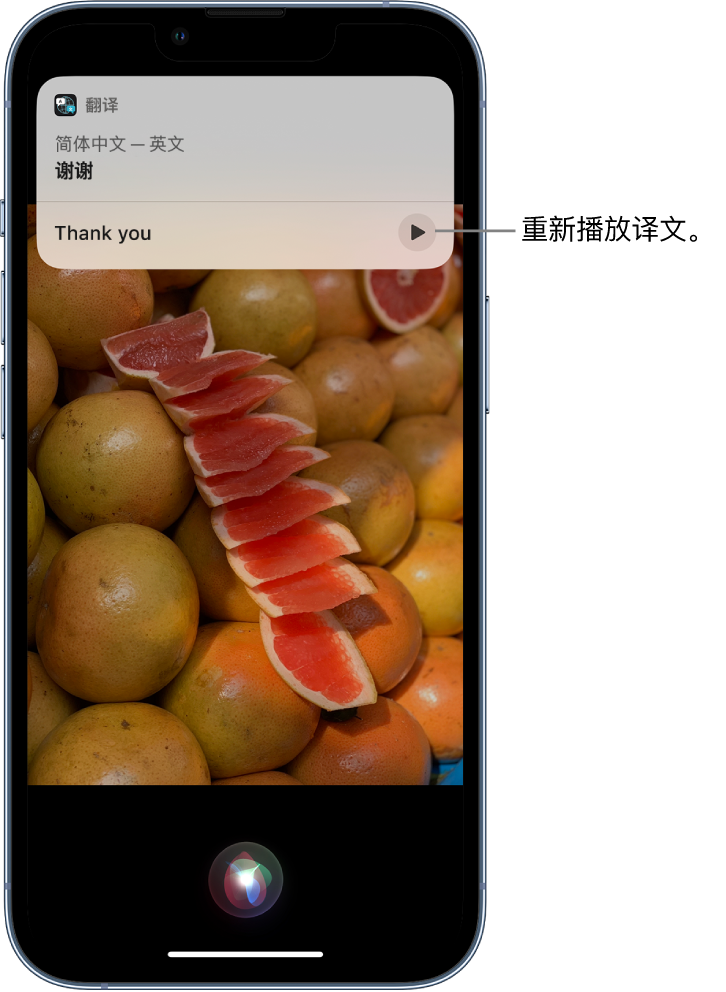 田东苹果14维修分享 iPhone 14 机型中使用 Siri：了解 Siri 能帮你做什么 