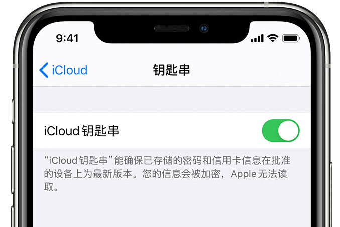 田东苹果手机维修分享在 iPhone 上开启 iCloud 钥匙串之后会储存哪些信息 